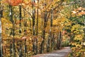 Colorful leaves on Rich Mountain road in the Great Smoky Mountains National Park in early November Royalty Free Stock Photo