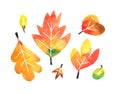 Fall watercolor leaves collection on white background with clipping mask Royalty Free Stock Photo