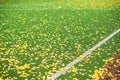 Fall Autumn Soccer field with grass green football. net Royalty Free Stock Photo