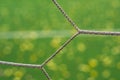 Fall Autumn Soccer field with grass green football. white net Royalty Free Stock Photo