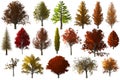 Fall autumn Tree foilage collection set isolated