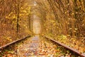 Fall autumn tunnel of love.