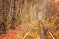 Fall autumn tunnel of love in Klevan Ukraine. Royalty Free Stock Photo