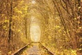 Fall autumn tunnel of love in Klevan Ukraine. Royalty Free Stock Photo