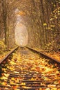 Fall autumn tunnel of love in Klevan Ukraine. Royalty Free Stock Photo