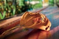 Fall autumnal leaf on a bench in a rainy day Royalty Free Stock Photo