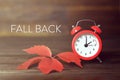 Fall back. Daylight saving time