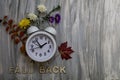 FALL BACK Daylight Saving Time concept with white alarm clock and fresh fall flowers foliage on hand painted gray wood board flat Royalty Free Stock Photo