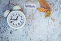 Fall Back Daylight Saving Time concept with white clock and flowers, flat lay Royalty Free Stock Photo