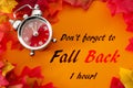 Fall back, the end of daylight savings time and turn clocks back on hour concept with a clock surrounded by dried yellow leaves