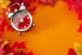 Fall back, the end of daylight savings time and turn clocks back on hour concept with a clock surrounded by dried yellow leaves Royalty Free Stock Photo