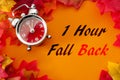 Fall back, the end of daylight savings time and turn clocks back on hour concept with a clock surrounded by dried yellow leaves Royalty Free Stock Photo