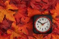 Fall Back 1 Hour with fall leaves and clock on wood for DST Royalty Free Stock Photo