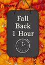 Fall Back 1 hour time change message on a chalkboard sign on pumpkins