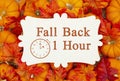 Fall Back 1 hour time change message on a metal sign on pumpkins