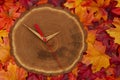 Fall back 1 hour time change with wood clock Royalty Free Stock Photo
