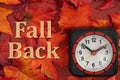 Fall Back with fall leaves and clock on wood for DST Royalty Free Stock Photo