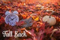 Fall Back text Daylight Saving Time vivid red autumn leaves background in morning light Royalty Free Stock Photo