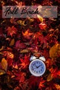 Fall Back text Daylight Saving Time vivid red autumn leaves background in morning light Royalty Free Stock Photo