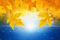 Fall background Royalty Free Stock Photo