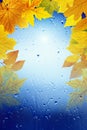 Fall background Royalty Free Stock Photo