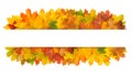 Fall background. Autumn leaves banner space for text Royalty Free Stock Photo