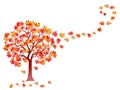 Fall background with colorful tree and falling leaves isolated on white background. Royalty Free Stock Photo