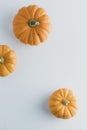 Fall background maple leaves with orange pumpkins white background with copy space, autumn Royalty Free Stock Photo