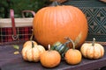 Pumpkins and gourds on picnic table Royalty Free Stock Photo