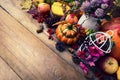 Fall background with pumpkins, clover and pink flowers, copy spa Royalty Free Stock Photo