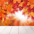 Fall background with red autumn maple leaves and abstract sun Royalty Free Stock Photo