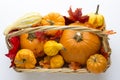 Fall basket overflowing with pumpkins, gourds & fall leaves Royalty Free Stock Photo