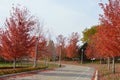 Fall Bike Path