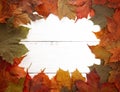 Fall Border of Authenic Leaves on a Wooden Background Royalty Free Stock Photo