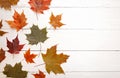 Fall Border of Authenic Leaves on a Wooden Background Royalty Free Stock Photo