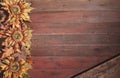 Fall border with sunflowers on grunge red wood background