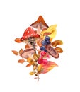 Fall bouquet design. Autumn mushrooms, berries, plants, autumnal leaves. Hand painted natural illustration with wild