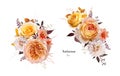 Fall bouquet set. Watercolor flowers, leaves. Peach orange rose, dahlia yellow, burgundy eucalyptus leaf branch. Floral editable Royalty Free Stock Photo