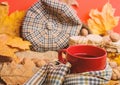 Fall bucket list concept. Mug cozy aromatic tea beverage in scarf and treats. Enjoy cozy autumnal atmosphere. Mug of tea