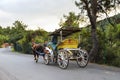 In the fall Buyukada Phaeton. Horse Carriage