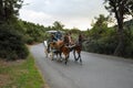 In the fall Buyukada Phaeton. Horse Carriage