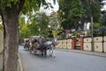 In the fall Buyukada Phaeton. Horse Carriage