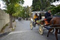 In the fall Buyukada Phaeton. Horse Carriage