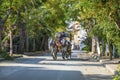 In the fall Buyukada Phaeton. Horse Carriage