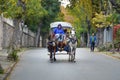 In the fall Buyukada Phaeton. Horse Carriage