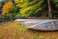 Fall, Camp Blanton, Southeastern Kentucky