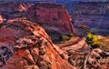 Fall at the Canyon De Chelly