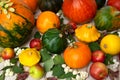 Fall centerpiece with pumpkins, yellow, green squashes and gourds