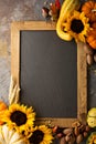 Fall chalkboard copy space with pumpkins and sunflowers