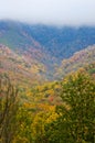 Fall changing to winter in The Great Smoky Mountains. Royalty Free Stock Photo